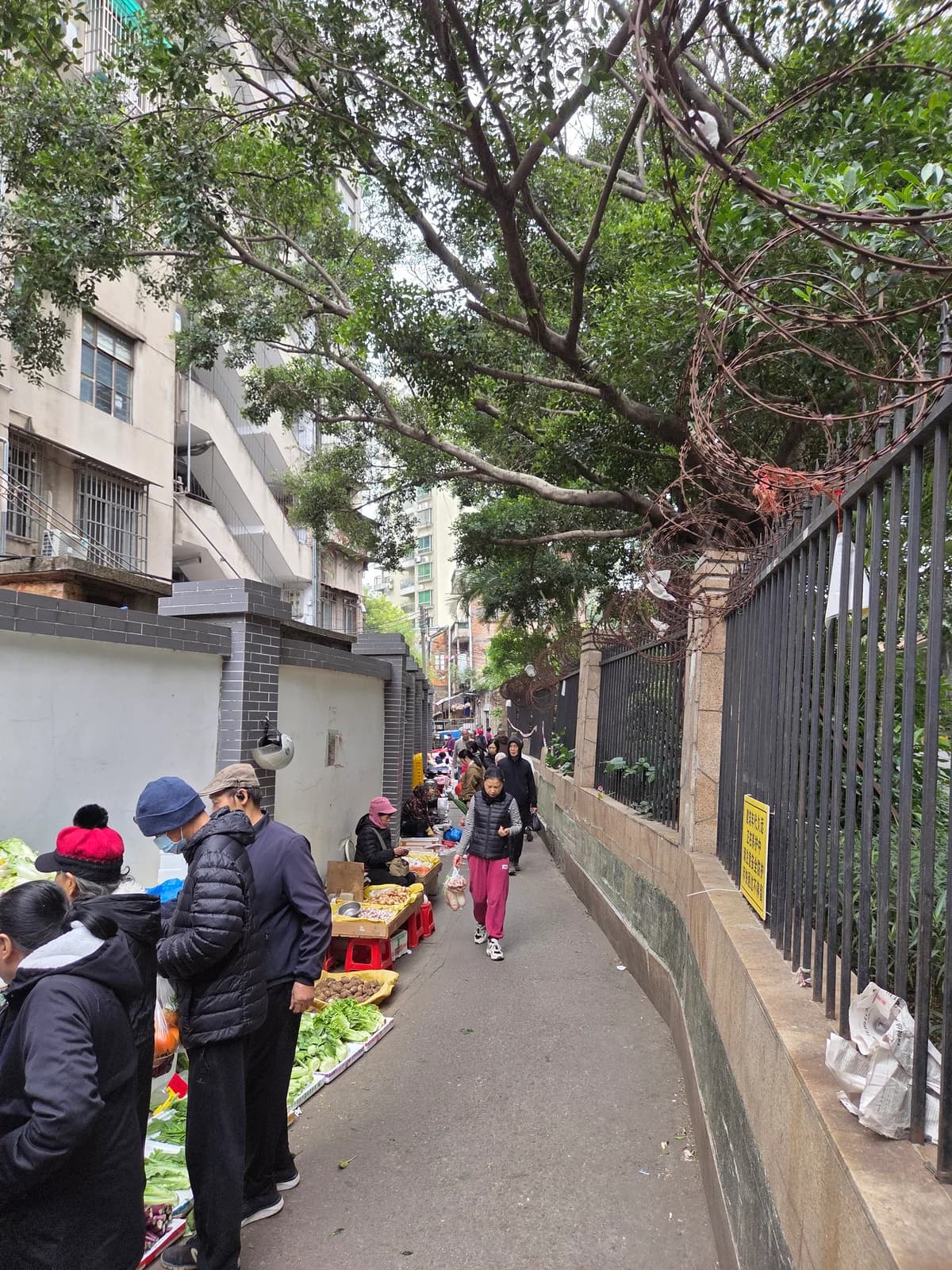 A produce market beneath mature trees in Guangzhou