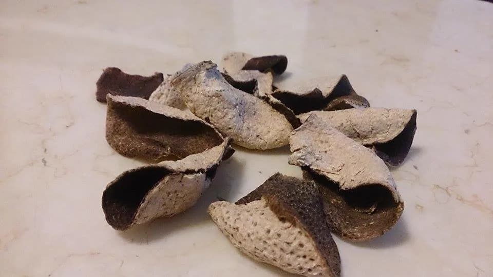 Pieces of dried chenpi laid out for use