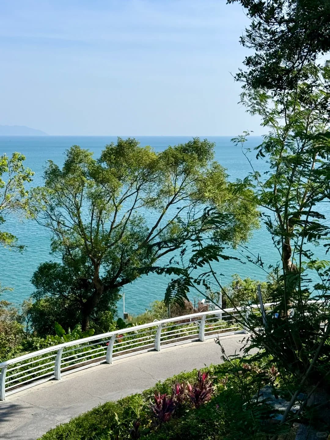Blue sea framed by trees above the Dameisha coastal path