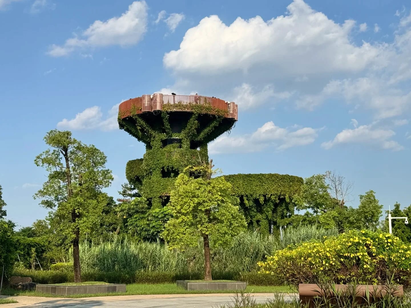 The vine-covered observation tower at Mangzhou Wetland Park, Hengqin