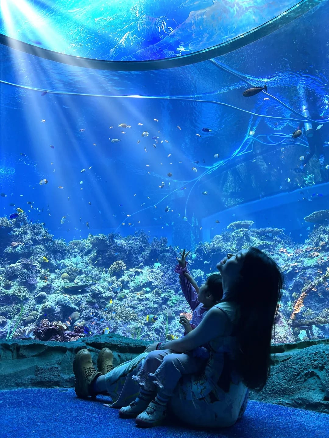 Marine aquarium viewing inside Chimelong Spaceship