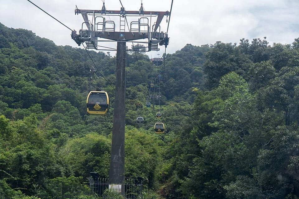 Aerial lift crossing the forested slopes of Baiyun Mountain
