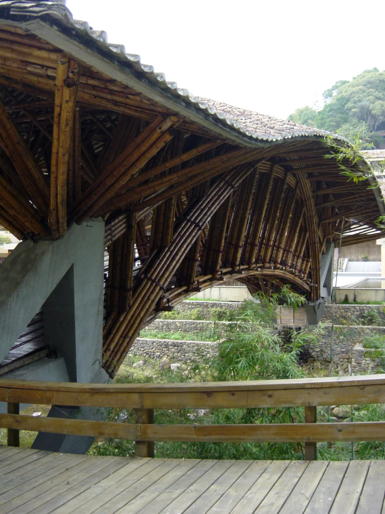 Bamboo bridge and hillside vegetation in Nankun Mountain