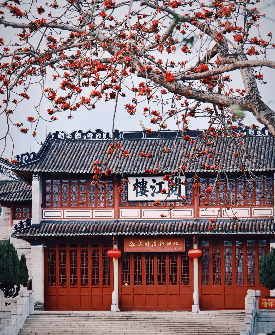 Yuejiang Tower framed by flowering kapok branches